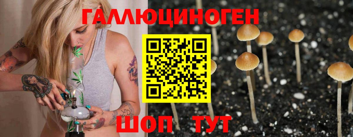 Псилоцибиновые грибы Psilocybine cubensis  Вход с VPN  Рыбинск 